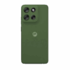 Pantone Dill Green